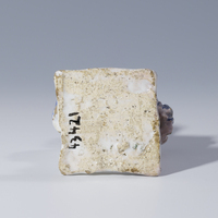 43421
<br/>
Kleine Büste
<br/>
<em>Fayencemanufaktur Ansbach</em>